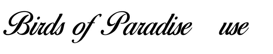 Birds of Paradise font